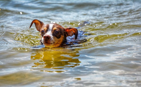 Quel programme de remise en forme pour les débutants en Pilates?